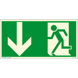PERMALIGHT® plus FLUCHTWEGSCHILD & RETTUNGSZEICHEN Notausgang